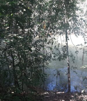 Sorriso: Corpo é encontrado boiando em rio por pescadores