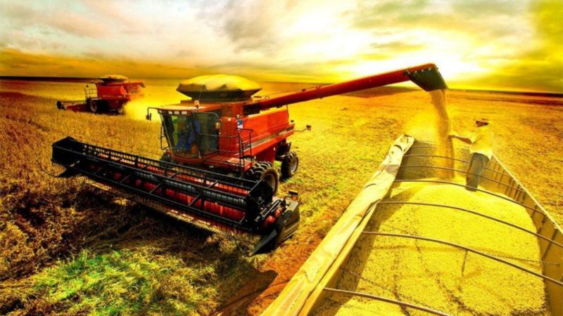 Câmara de Sorriso aprova inclusão da Semana Municipal do Agronegócio no Calendário Oficial de Eventos