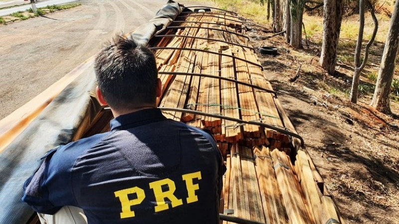 Carga de madeira ilegal é apreendia em carreta pela PRF