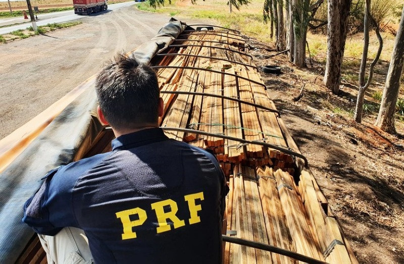 Carga de madeira ilegal é apreendia em carreta pela PRF