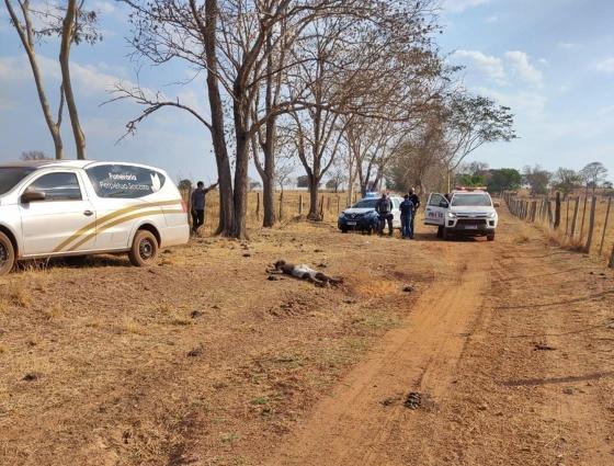 Corpo de homem é encontrado em decomposição na beira de estrada