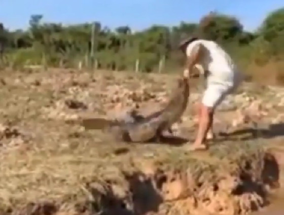 Homem coloca mão na boca de jacaré e quase vira sobremesa