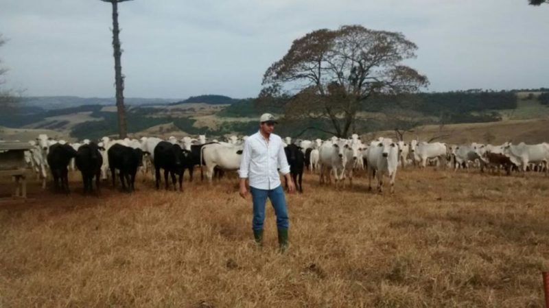 Veterinário é assassinado em chácara de Diamantino na madrugada; suspeito fugiu