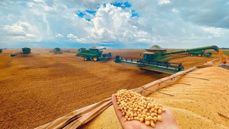Cotações da soja em Chicago estão acima da média histórica de 5 anos, mas relação com fertilizantes segue desfavorável