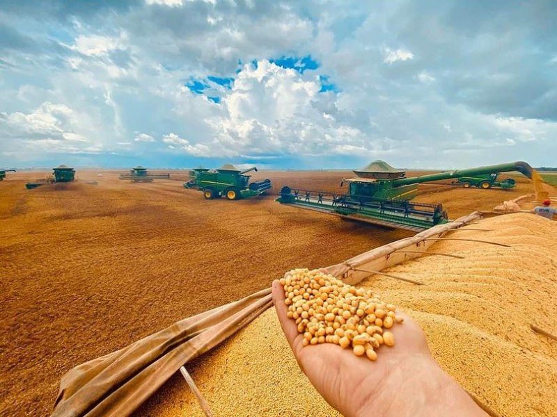 Cotações da soja em Chicago estão acima da média histórica de 5 anos, mas relação com fertilizantes segue desfavorável