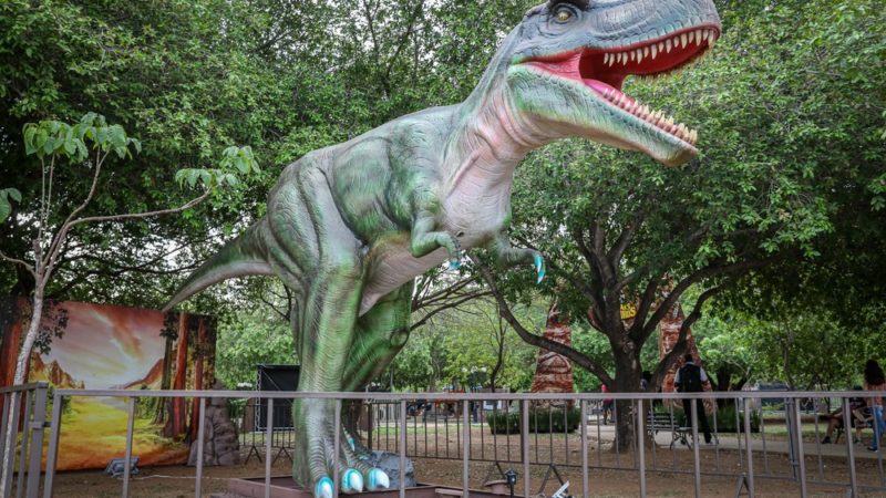 Exposição gratuita reúne réplicas de dinossauros em parque em Cuiabá