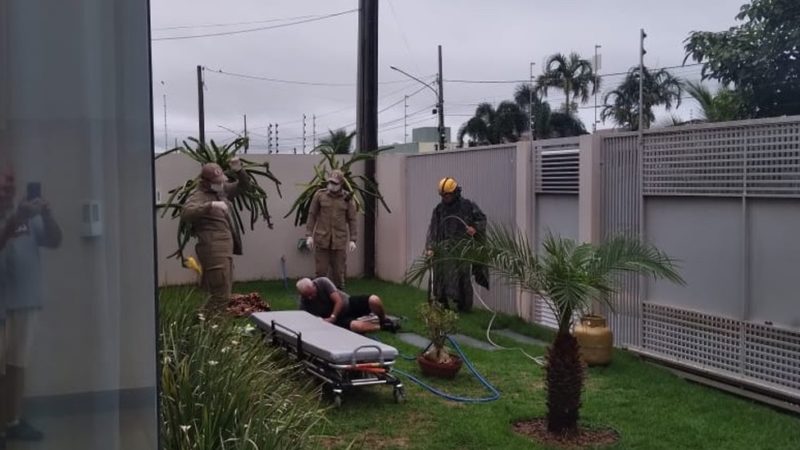 Abelhas ataca idoso de 80 anos e leva mais de 50 ferroadas em Lucas do Rio Verde
