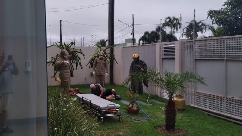 Abelhas ataca idoso de 80 anos e leva mais de 50 ferroadas em Lucas do Rio Verde