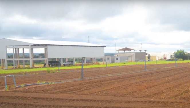 Sorriso: Revólver 38 é furtado em Fazenda de Instituto Federal
