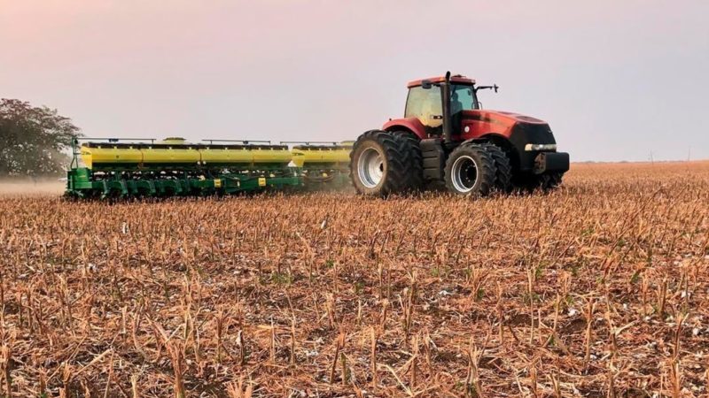 Mato Grosso conclui plantio de soja