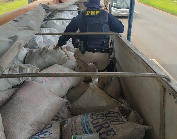 Caminhão levava duas toneladas de agrotóxico chinês seguia para Sorriso
