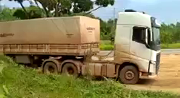 Caminhoneiro de Mato Grosso morre após ser picado por cobra às margens da BR-163