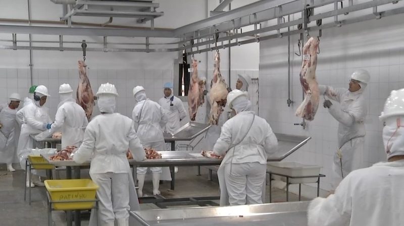 Embargo da carne bovina pela China gera prejuízo na ordem de US$ 18 milhões em MT